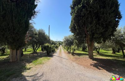 Historische villa te koop 06061 Castiglione del Lago, localita croce 2, Umbrië, Foto 5/38