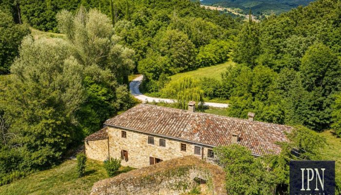  Cortona 3