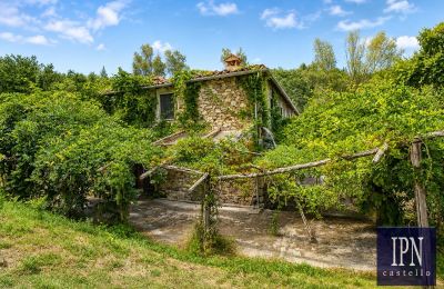 Molen te koop Cortona, Toscane, Foto 12/49
