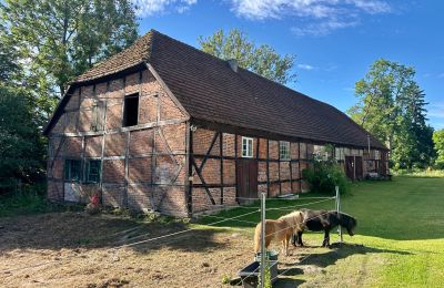 Middeleeuws kasteel te koop 18513 Glewitz, Turow 19, Mecklenburg-Vorpommern, Foto 82/100
