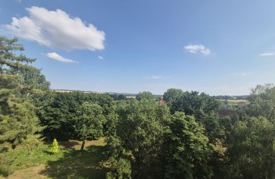 Kasteel te koop Koźmice, Neder-Silezië, Foto 5/35