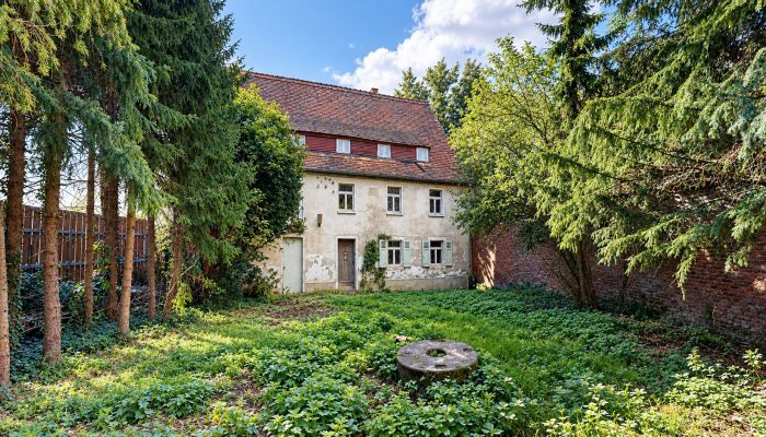 Historische watermolen in de Burgenlandkreis bij Leipzig