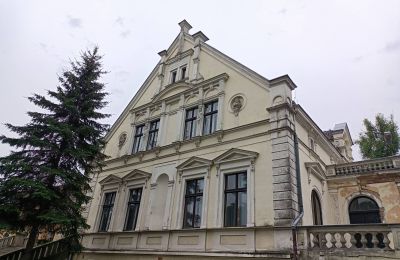 Kasteel te koop Lubinicko, Lubinek, Lubusz, Zijaanzicht