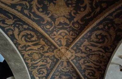Kasteel te koop Lubinicko, Lubinek, Lubusz, Plafond