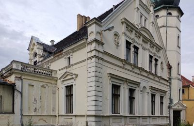 Kasteel te koop Lubinicko, Lubinek, Lubusz, Toren
