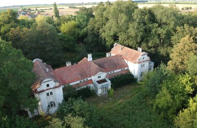 Landhuis te koop Oporowo, Dwór w Oporowie 1, Groot-Polen, Dronefoto