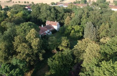 Landhuis te koop Oporowo, Dwór w Oporowie 1, Groot-Polen, Park