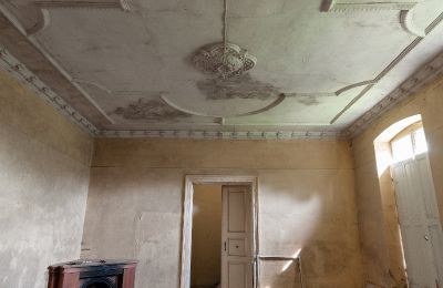 Kasteel te koop Pakosław, Groot-Polen, Stucdecoratie