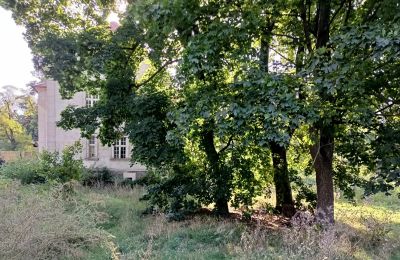 Landhuis te koop Osieczna, Groot-Polen, Park