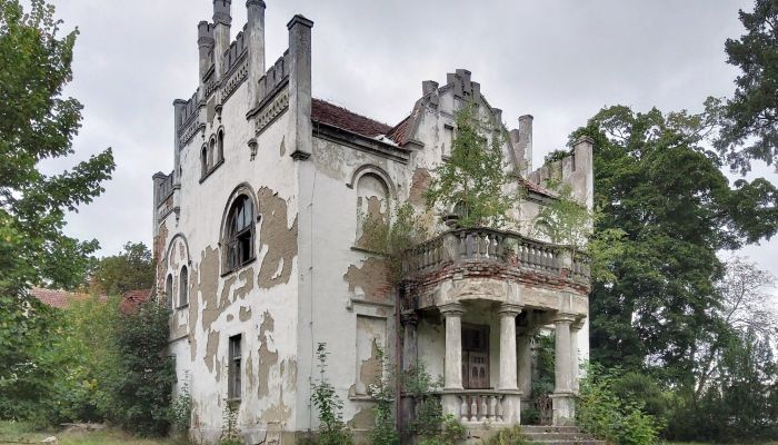  Landhuis in Piotrowo met park en bijgebouwen