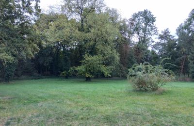 Landhuis te koop Brodnica, Groot-Polen, Park