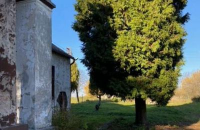 Landhuis te koop Mzurów, Silezië,, Foto 4/5
