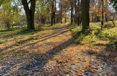 Landhuis te koop Mzurów, Silezië,, Foto 5/5