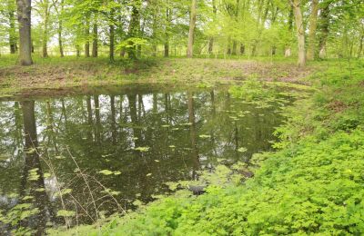 Kasteel te koop Stołeczna, Pałac w Stołecznej 20, West-Pommeren, Vijver/Meer