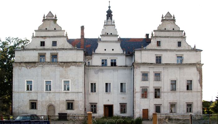 Kasteel te koop Wilków Wielki, Neder-Silezië,  Polen