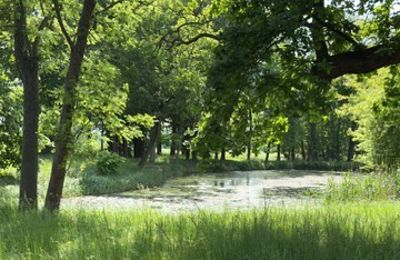 Landhuis te koop Gierłachowo, Dwór w Gierłachowie 18a, Groot-Polen, Foto 33/34