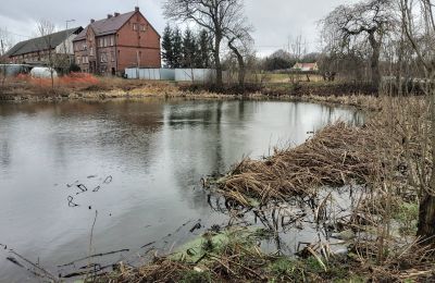 Kasteel te koop Bronów, Pałac w Bronowie, Neder-Silezië, Vijver/Meer