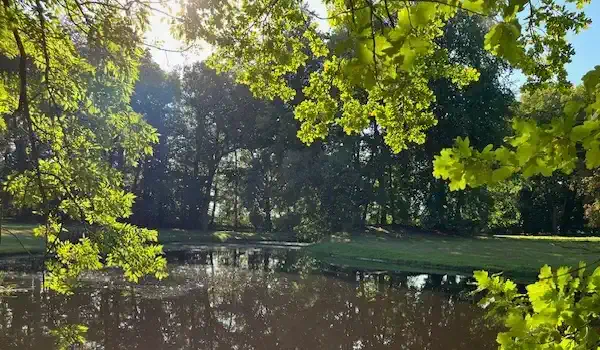 Schlosspark met vijver, Landhuis Niendorf