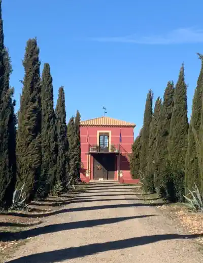 vastgoedaanbiedingen in Spanje Castilla-La Mancha