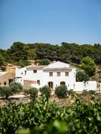 Exclusief landgoed met hotel, wijn- en olijfolieproductie in Catalonië, Masllorenç, Catalonië